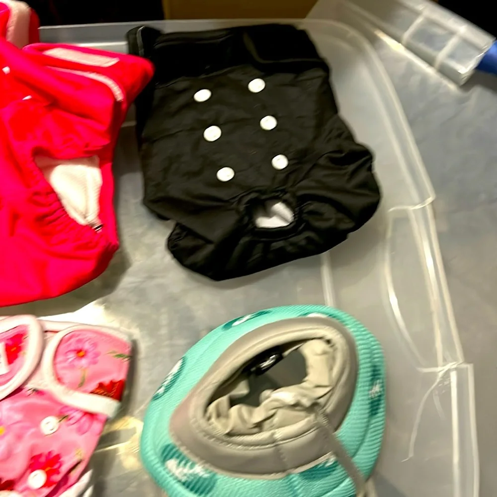 For puppies small medium an large all together 50 dollars